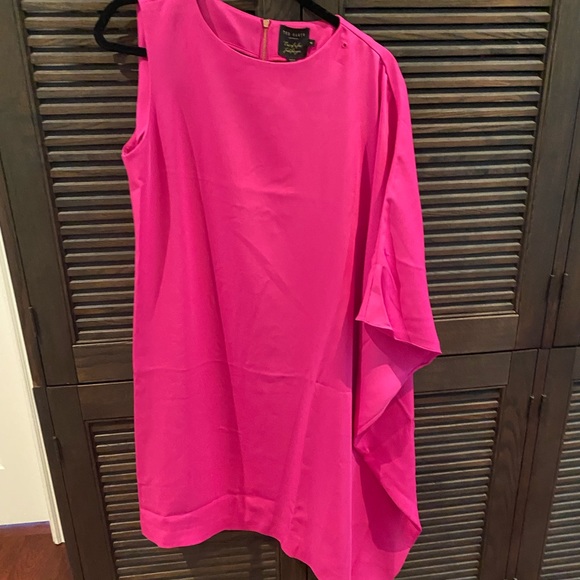 Beautiful fuchsia Ted Baker Brand New Dress - Picture 7 of 14